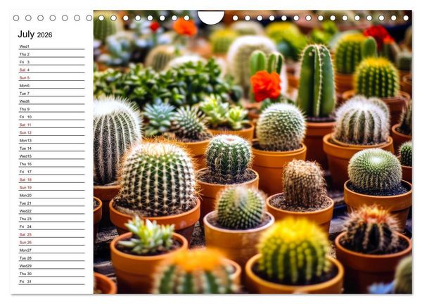 Produktbild: Cacti Wonderland (Wall Calendar 2026 DIN A4 landscape), CALVENDO 12 Month Wall Calendar