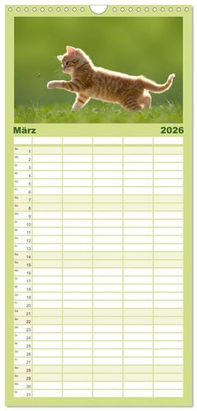 Produktbild: Familienplaner 2026 - K&auml;tzchen 2026 mit 5 Spalten (Wandkalender, 21 x 45 cm) CALVENDO