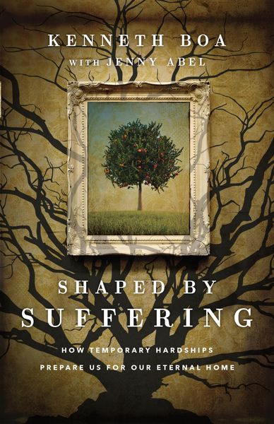 Produktbild: Shaped by Suffering
