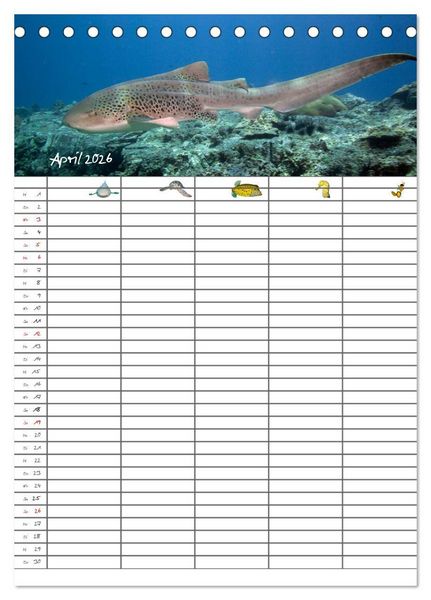 Produktbild: Der Unterwasser Familienplaner 2026 (Tischkalender 2026 DIN A5 hoch), CALVENDO Monatskalender
