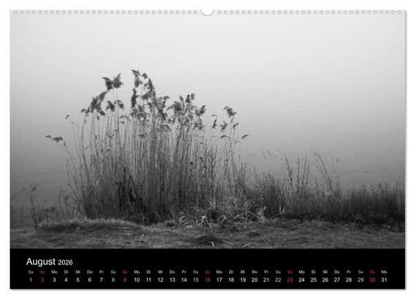 Produktbild: Monochrom 2026 (Wandkalender 2026 DIN A2 quer), CALVENDO Monatskalender
