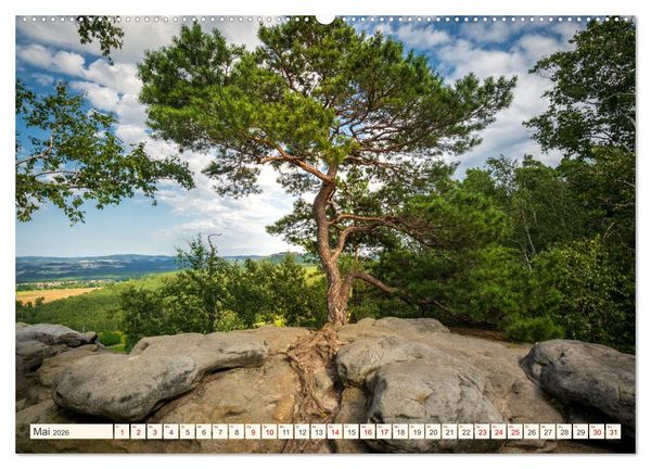 Produktbild: Im Zauber der W&auml;lder (Wandkalender 2026 DIN A2 quer), CALVENDO Monatskalender