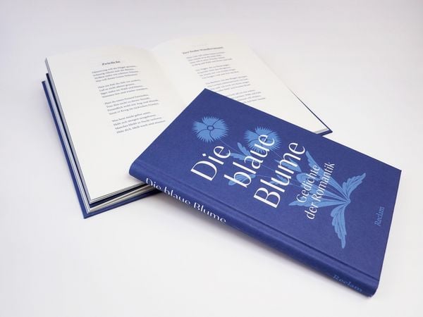 Produktbild: Die blaue Blume. Gedichte der Romantik