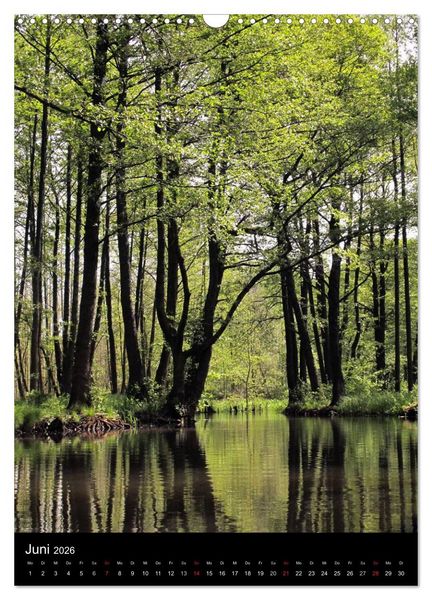 Produktbild: Land Brandenburg im Wechsel der Jahreszeiten (Wandkalender 2026 DIN A3 hoch), CALVENDO Monatskalender