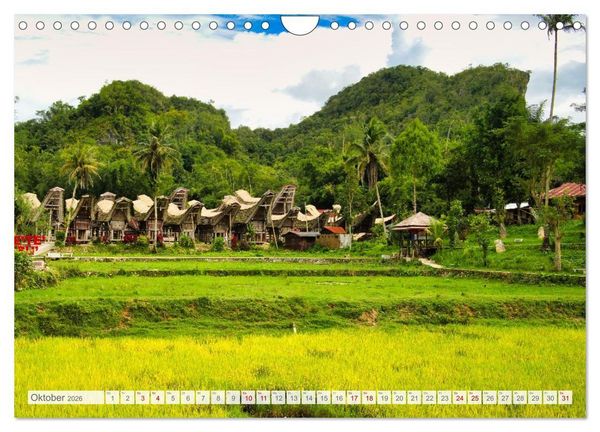 Produktbild: Sulawesi 2026 (Wandkalender 2026 DIN A4 quer), CALVENDO Monatskalender