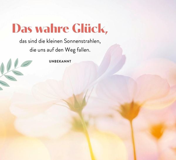 Produktbild: Sonnenschein für jeden Tag