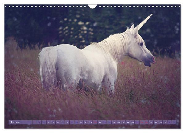 Produktbild: Einhorn Love - Fantasiewelt (Wandkalender 2026 DIN A3 quer), CALVENDO Monatskalender