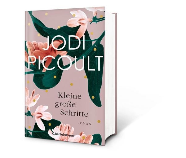 Produktbild: Kleine gro&szlig;e Schritte