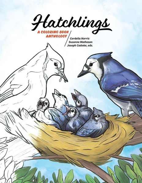 Produktbild: Hatchlings