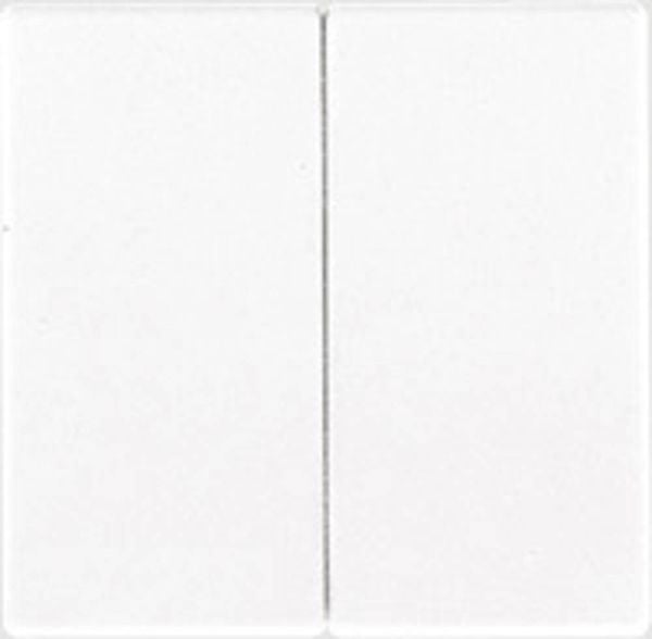 Produktbild: Jung Wippe ws LS 995