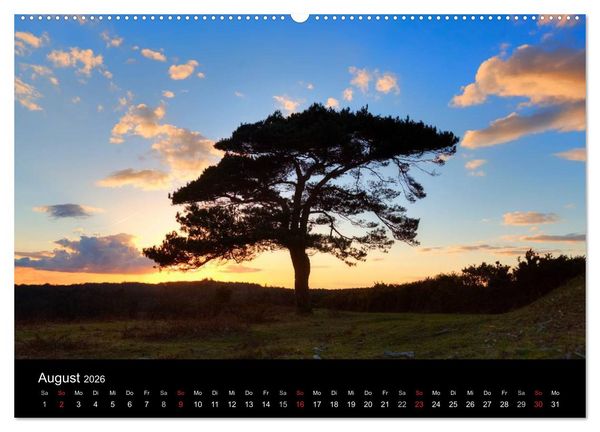 Produktbild: New Forest - England (Wandkalender 2026 DIN A2 quer), CALVENDO Monatskalender