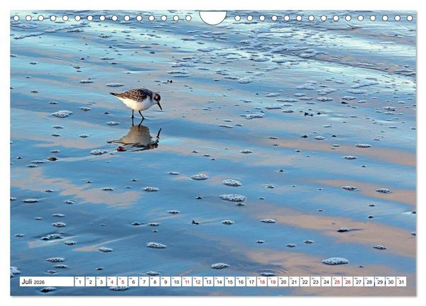 Produktbild: Wintertage auf Norderney (Wandkalender 2026 DIN A4 quer), CALVENDO Monatskalender
