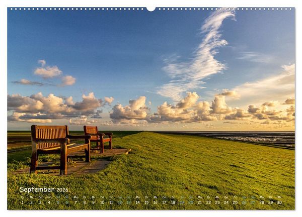 Produktbild: Westk&uuml;ste - Zwischen St. Peter Ording, B&uuml;sum und Elbe (Wandkalender 2026 DIN A2 quer), CALVENDO Monatskalender