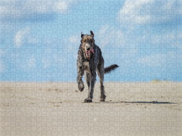 Produktbild: CALVENDO Puzzle Irischer Wolfshund hat Spa&szlig; am Strand 1000 Teile Lege-Gr&ouml;&szlig;e 640 x 480 cm Foto-Puzzle Bild von Annett Mirsberger
