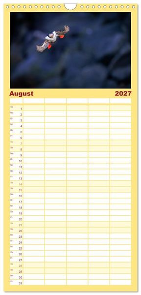 Produktbild: Familienplaner 2027 - Puffins - Papageientaucher auf Island mit 5 Spalten (Wandkalender, 21 x 45 cm) CALVENDO