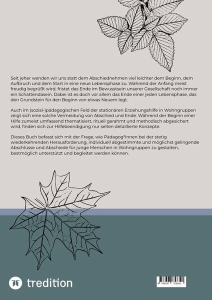 Produktbild: Abschluss und Abschied in den station&auml;ren Erziehungshilfen