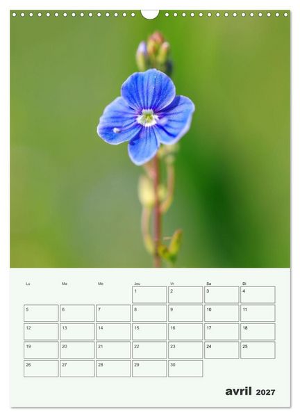 Produktbild: Fleurs en toute simplicit&eacute; - Beaut&eacute; minimaliste (Calendrier mural 2027 DIN A3 horizontal), CALVENDO calendrier mensuel