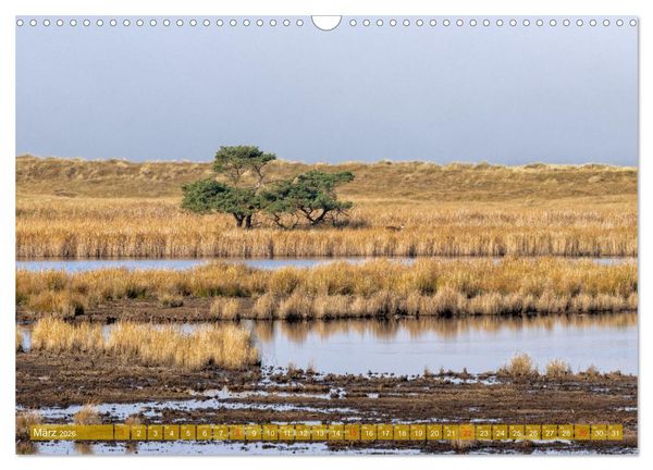Produktbild: Dar&szlig;-Zingst Naturimpressionen (Wandkalender 2026 DIN A3 quer), CALVENDO Monatskalender