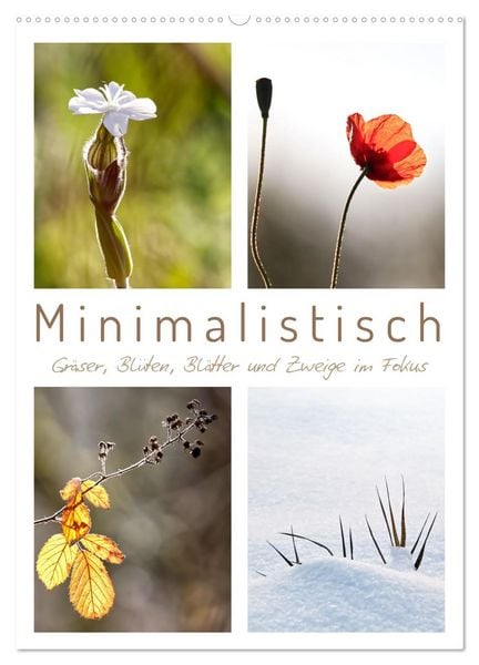 Produktbild: Minimalistisch, Gr&auml;ser, Bl&uuml;ten, Bl&auml;tter und Zweige im Fokus (Wandkalender 2026 DIN A2 hoch), CALVENDO Monatskalender