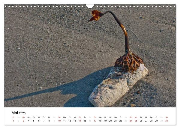 Produktbild: Helgoland (Wandkalender 2026 DIN A3 quer), CALVENDO Monatskalender