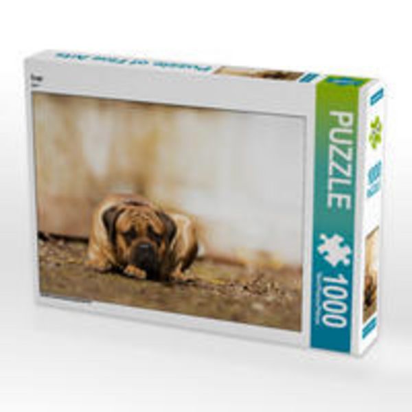 CALVENDO Puzzle Ivor | 1000 Teile Lege-Größe 64x48cm Foto-Puzzle für glückliche Stunden