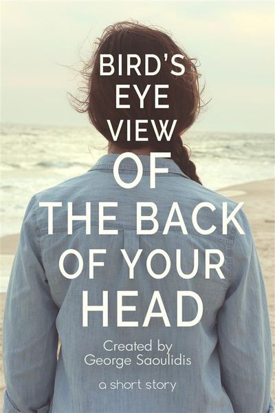 Produktbild: Bird's-Eye View of the Back of Your Head