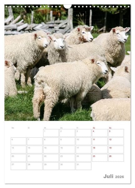 Produktbild: Kalenderplaner g'day Neuseeland 2026 (Wandkalender 2026 DIN A3 hoch), CALVENDO Monatskalender