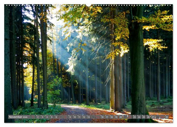 Produktbild: Wege finden immer ein Ziel (Wandkalender 2026 DIN A2 quer), CALVENDO Monatskalender