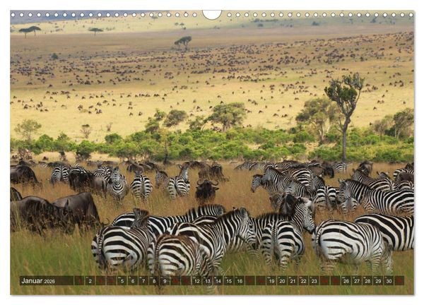 Produktbild: Afrika - Zauber der Wildnis (Wandkalender 2026 DIN A3 quer), CALVENDO Monatskalender