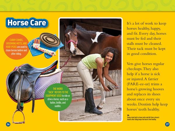 Produktbild: Gallop! (National Geographic Kids Readers, Level 3/Fact Reader)