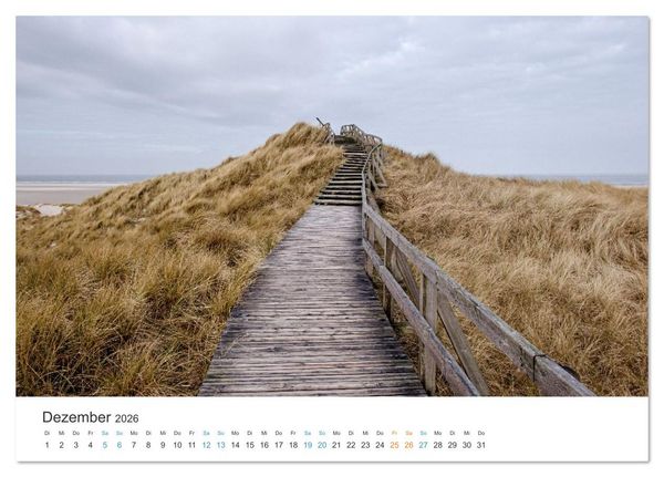 Produktbild: Amrum: Natur und Freiheit (Tischkalender 2026 DIN A5 quer), CALVENDO Monatskalender