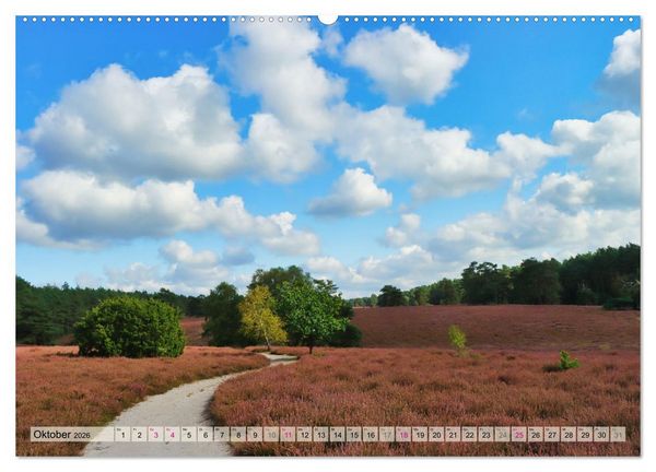 Produktbild: L&uuml;neburger S&uuml;dheide (hochwertiger Premium Wandkalender 2026 DIN A2 quer), Kunstdruck in Hochglanz