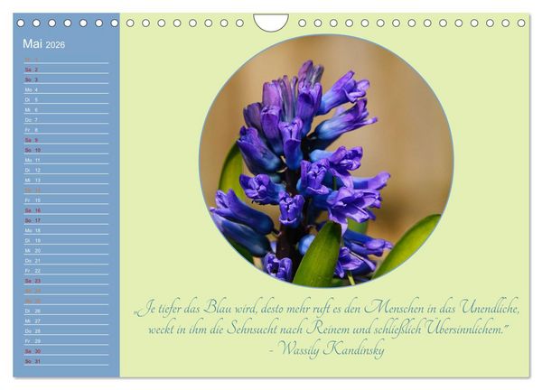 Produktbild: Flora in royalem Blau (Wandkalender 2026 DIN A4 quer), CALVENDO Monatskalender