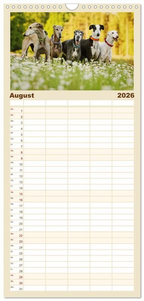Produktbild: Familienplaner 2026 - Zauberhafte Windhunde mit 5 Spalten (Wandkalender, 21 x 45 cm) CALVENDO