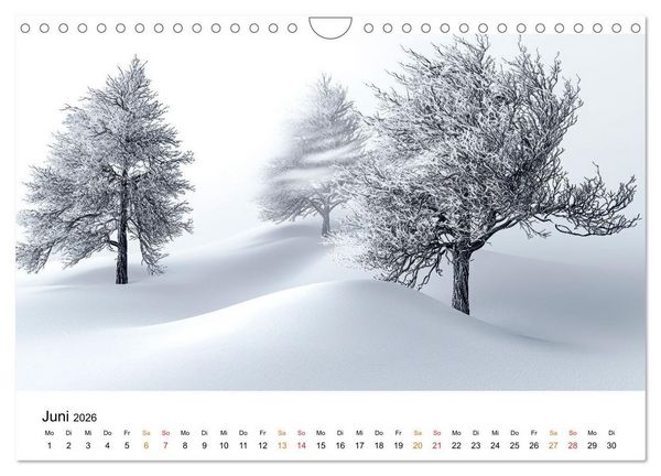 Produktbild: Winterzauber - Nordwind und Schneegest&ouml;ber (Wandkalender 2026 DIN A4 quer), CALVENDO Monatskalender