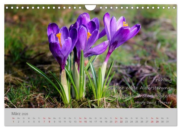 Produktbild: Jahres-Zeiten (Wandkalender 2026 DIN A4 quer), CALVENDO Monatskalender