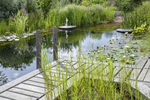 Produktbild: Wasser im Garten 2