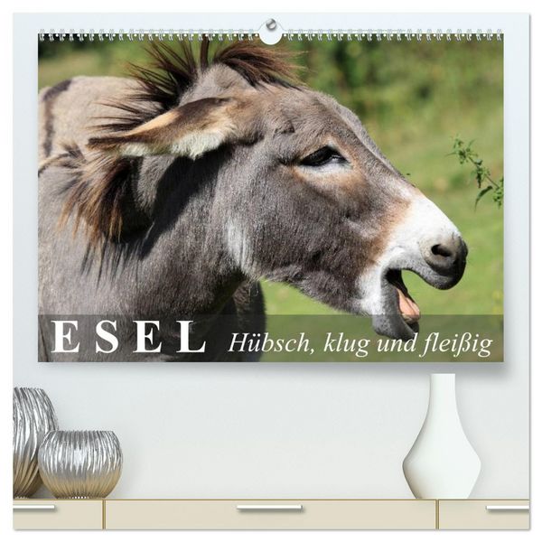 Produktbild: Esel - h&uuml;bsch, klug und flei&szlig;ig (hochwertiger Premium Wandkalender 2026 DIN A2 quer), Kunstdruck in Hochglanz