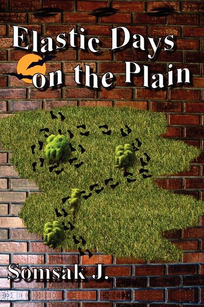 Produktbild: Elastic Days on the Plain