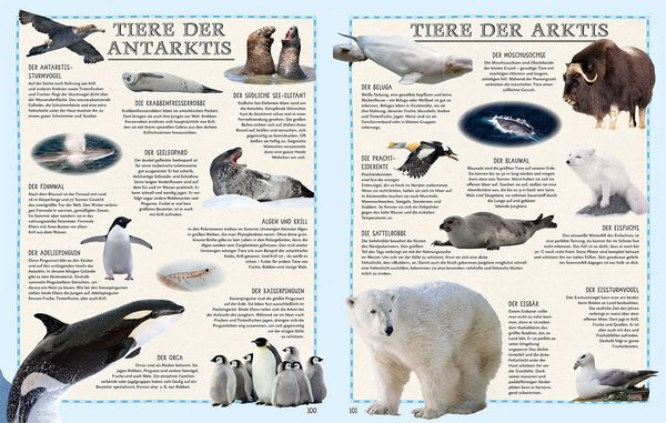 Produktbild: Der Weltatlas