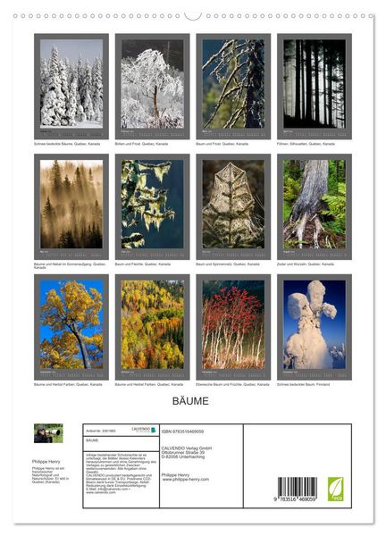 Produktbild: B&Auml;UME (hochwertiger Premium Wandkalender 2026 DIN A2 hoch), Kunstdruck in Hochglanz