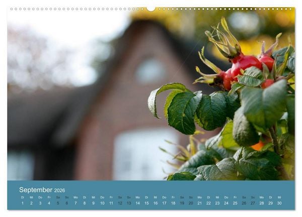 Produktbild: F&ouml;hr 2026. Portr&auml;t einer Insel (Wandkalender 2026 DIN A2 quer), CALVENDO Monatskalender