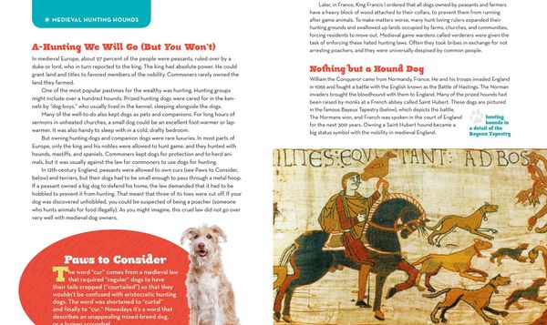 Produktbild: Dog Days of History
