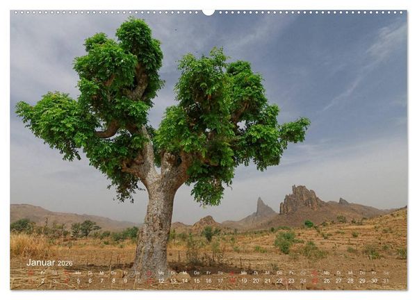 Produktbild: Afrikanische B&auml;ume (hochwertiger Premium Wandkalender 2026 DIN A2 quer), Kunstdruck in Hochglanz