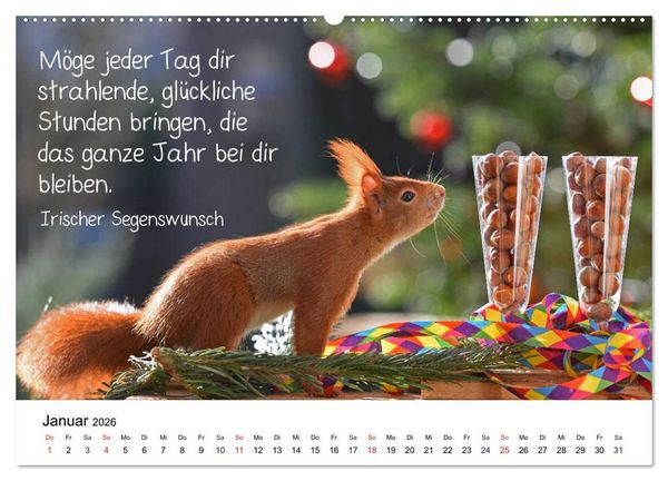 Produktbild: Der literarische Eichh&ouml;rnchen-Kalender (Wandkalender 2026 DIN A2 quer), CALVENDO Monatskalender