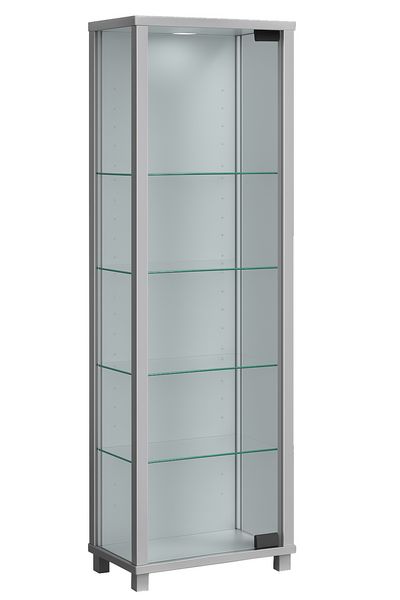 Holz Glas Stand Vitrine Sammelvitrine Edana Mini