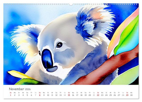 Produktbild: Der Koala 2026. Aschgrauer Beutelb&auml;r (Wandkalender 2026 DIN A2 quer), CALVENDO Monatskalender