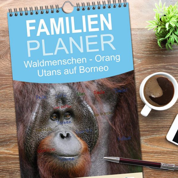 Produktbild: Familienplaner 2026 - Waldmenschen - Orang Utans auf Borneo mit 5 Spalten (Wandkalender, 21 x 45 cm) CALVENDO