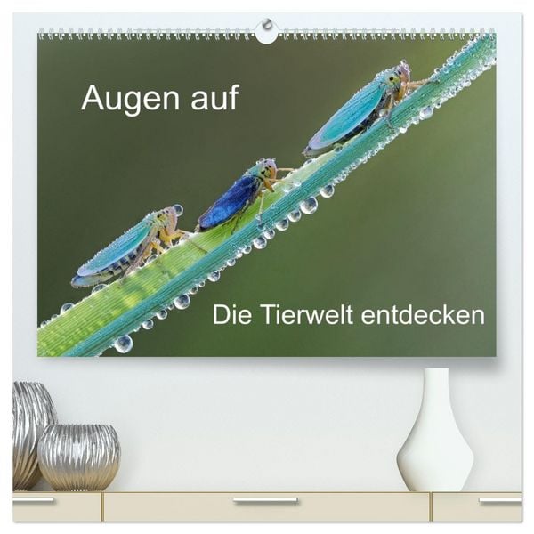 Produktbild: Augen auf - versteckte Tierwelt (hochwertiger Premium Wandkalender 2026 DIN A2 quer), Kunstdruck in Hochglanz