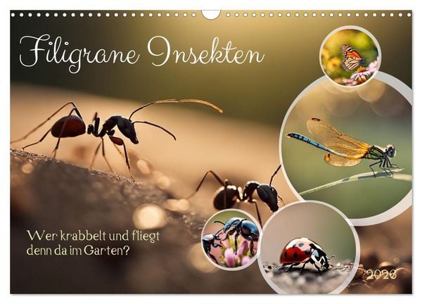 Produktbild: Filigrane Insekten (Wandkalender 2026 DIN A3 quer), CALVENDO Monatskalender